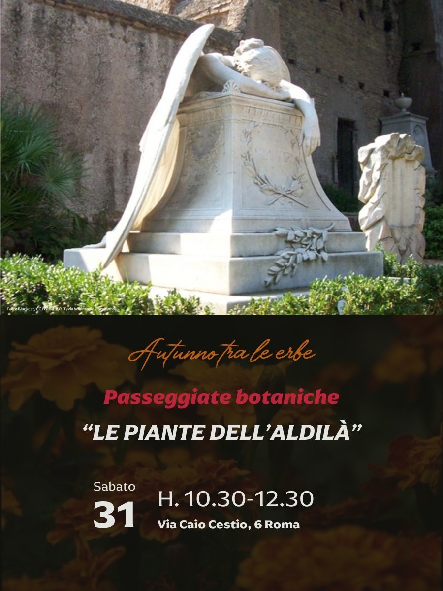 Le piante dell’aldilà – Passeggiata botanica al Cimitero Acattolico di Roma